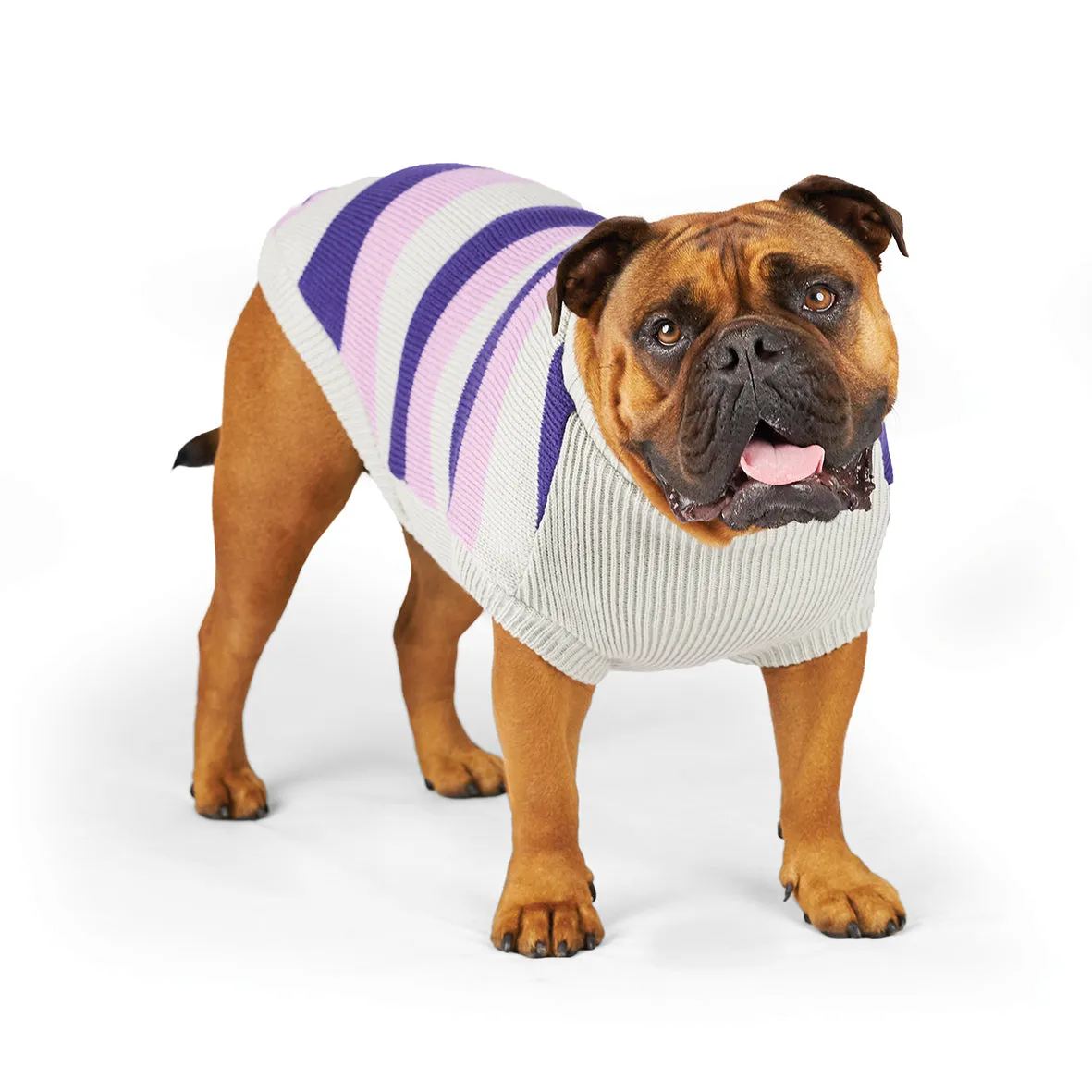 Kazoo Apparel Bumble Dog Jumper Lavender Intermediate Medium***