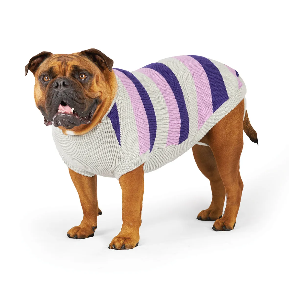 Kazoo Apparel Bumble Dog Jumper Lavender Medium ***